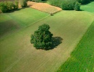 fotogramma del video Agriest 2007